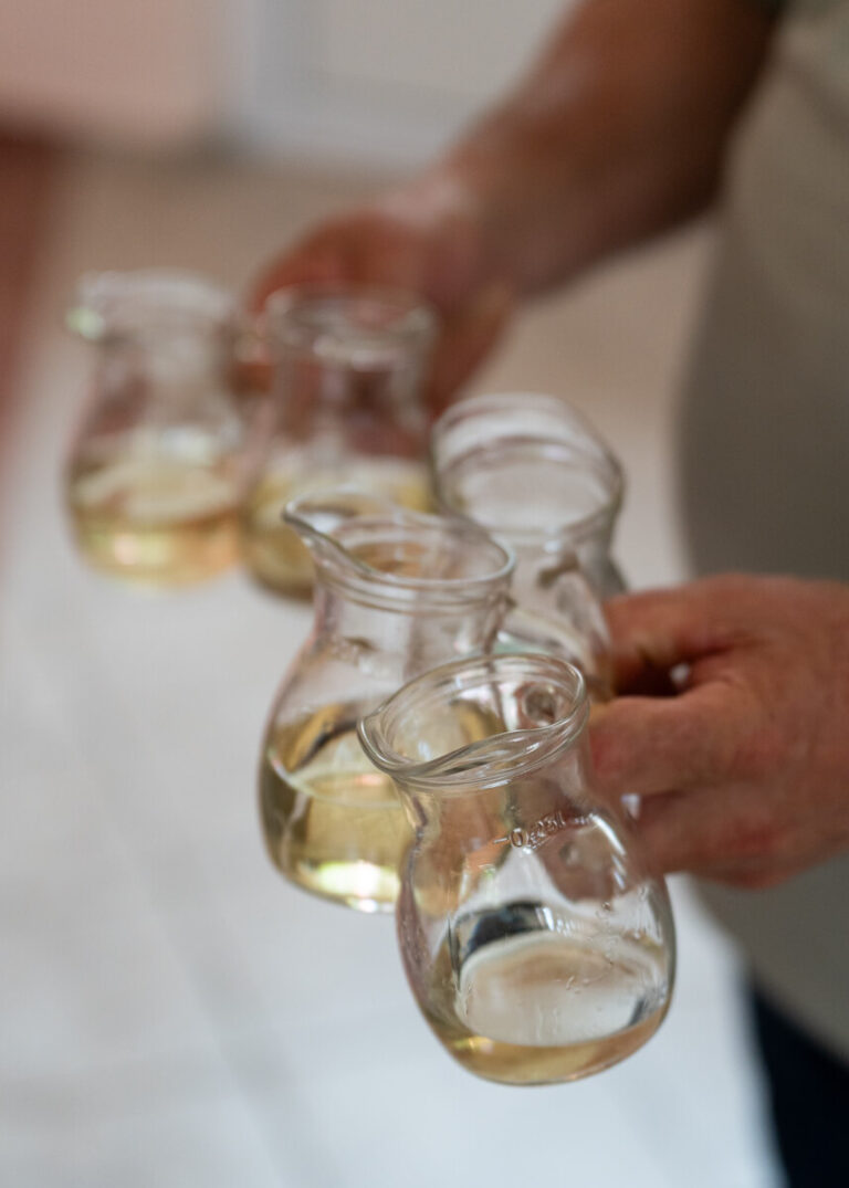 Ispracaj Zupnika Tomislava Dokoze u Srednjem Lipovcu