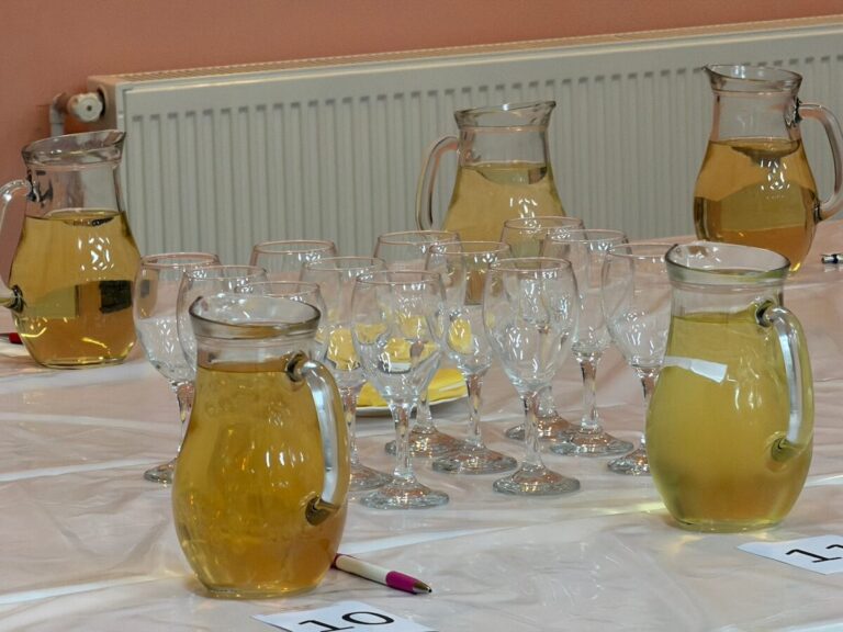 Sveti Vinko Proslava U Srednjem Lipovcu