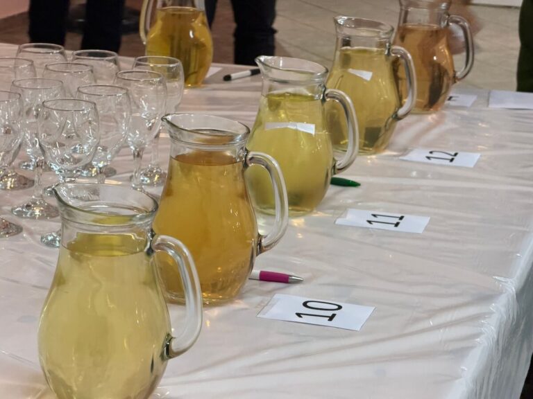 Sveti Vinko Proslava U Srednjem Lipovcu